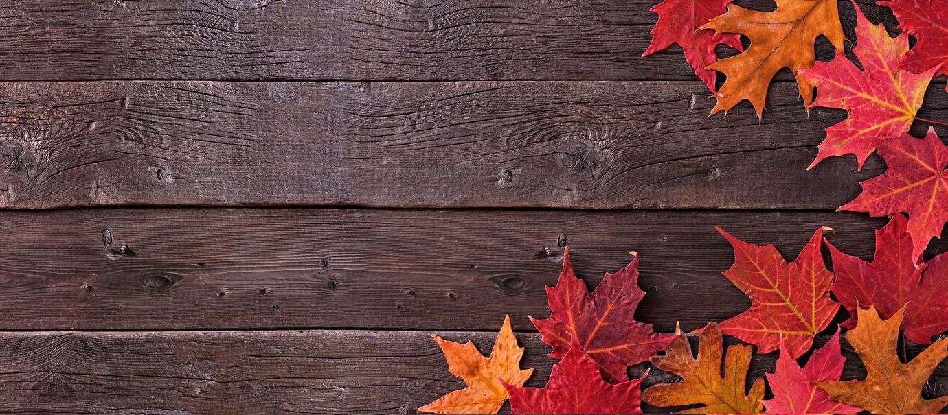 Orange Leaves